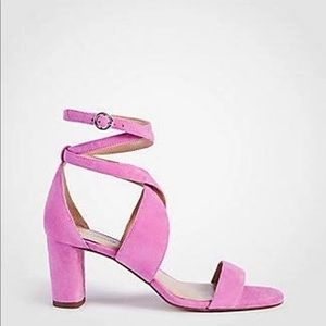 Ann taylor sandals